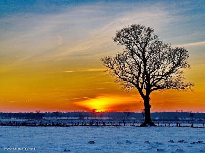 Winterliche Abendstimmung